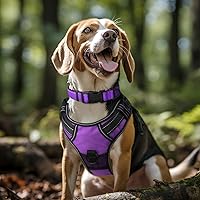 Vista 2 de Joytale - Collar reflectante para perro, collar de nailon transpirable con acolchado de neopreno suave para mascotas, ajustable para perros grandes