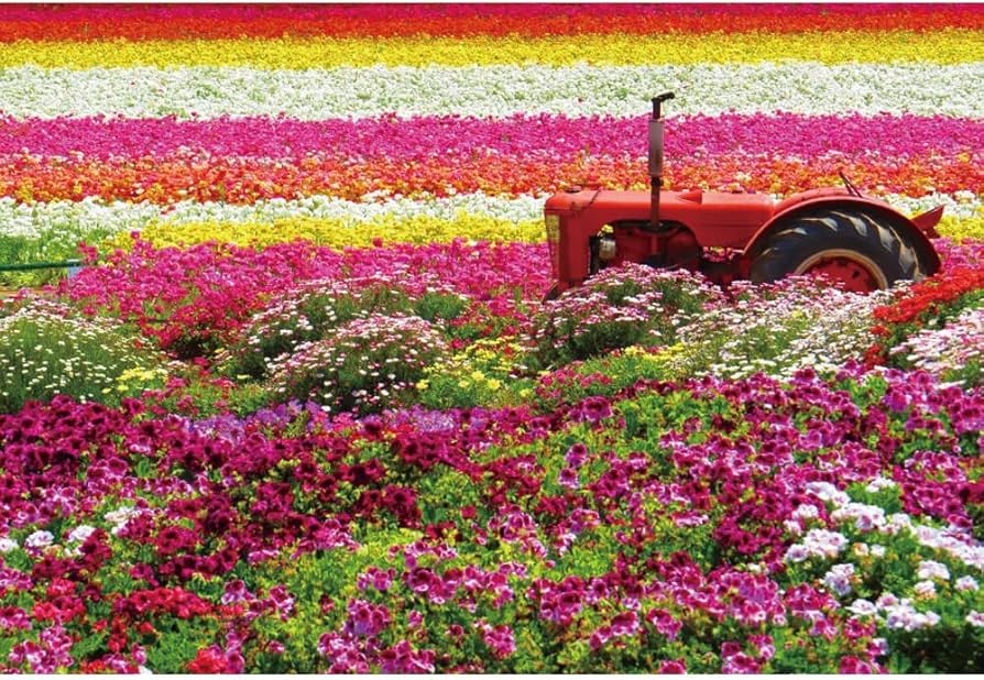 Fondo De Campo De Flores De