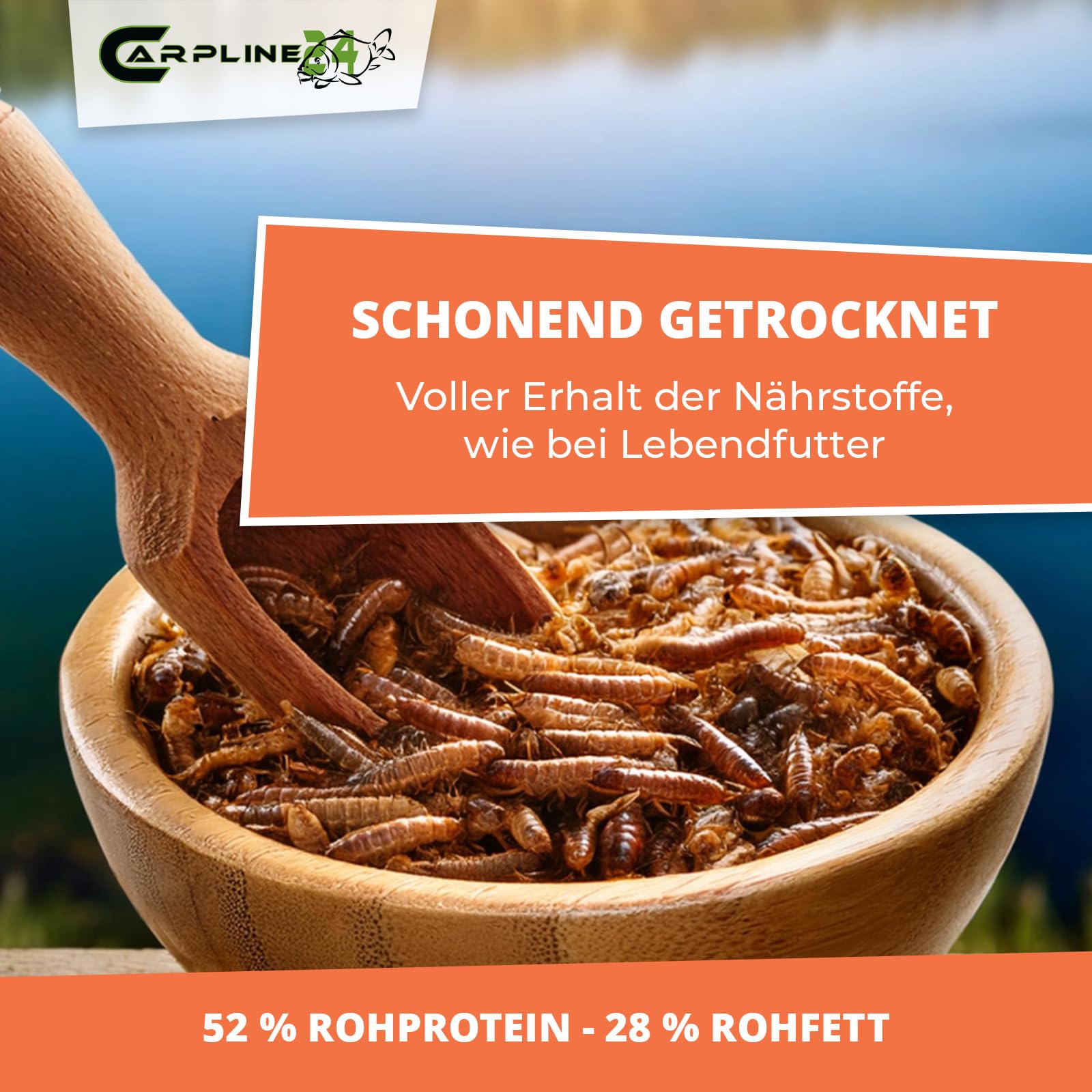 Getrocknete Mehlwürmer 1000 ml - Proteinreiche Insekten als Futter für Reptilien, Nager, Igel & Fische, Vogelfutter, Winterfutter