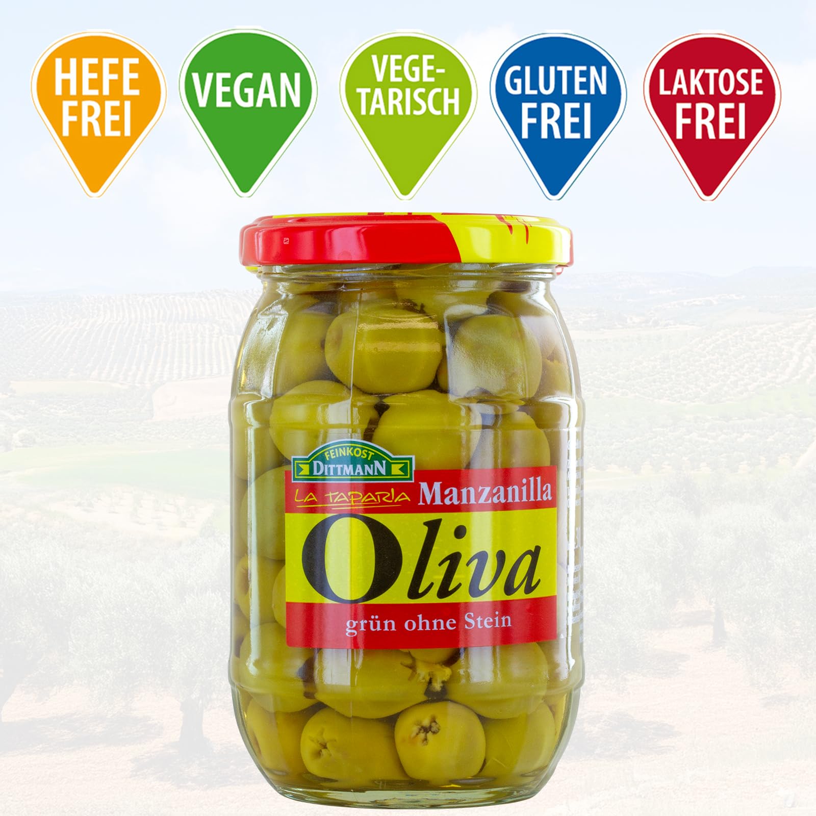 Feinkost Dittmann Oliva Manzanilla Oliven 10er Pack | Grüne spanische Premium Oliven ohne Stein – ideal für Antipasti, Salate, Tapas & mediterrane Küche