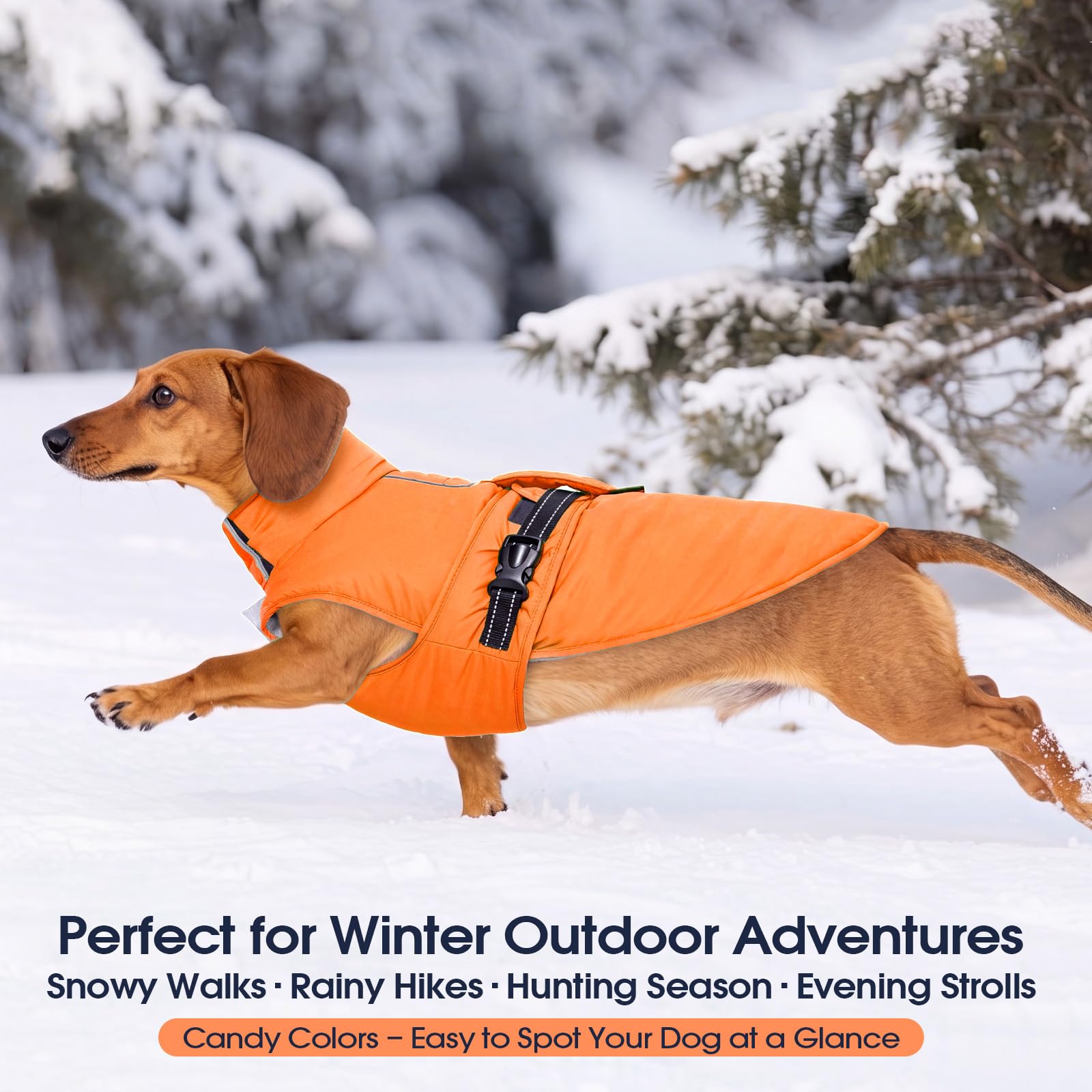 IECOii Manteau pour chien par temps froid, veste de neige réfléchissante, réglable et coupe-vent pour bouledogue français et corgi, gilet chaud imperméable avec doublure en polaire pour aventures en