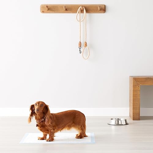 Miniatura 6 de Tienda Basics Almohadillas resistentes para orina de perros y cachorros, 5 capas a prueba de fugas, ultra absorbentes, superficie de secado rápido,