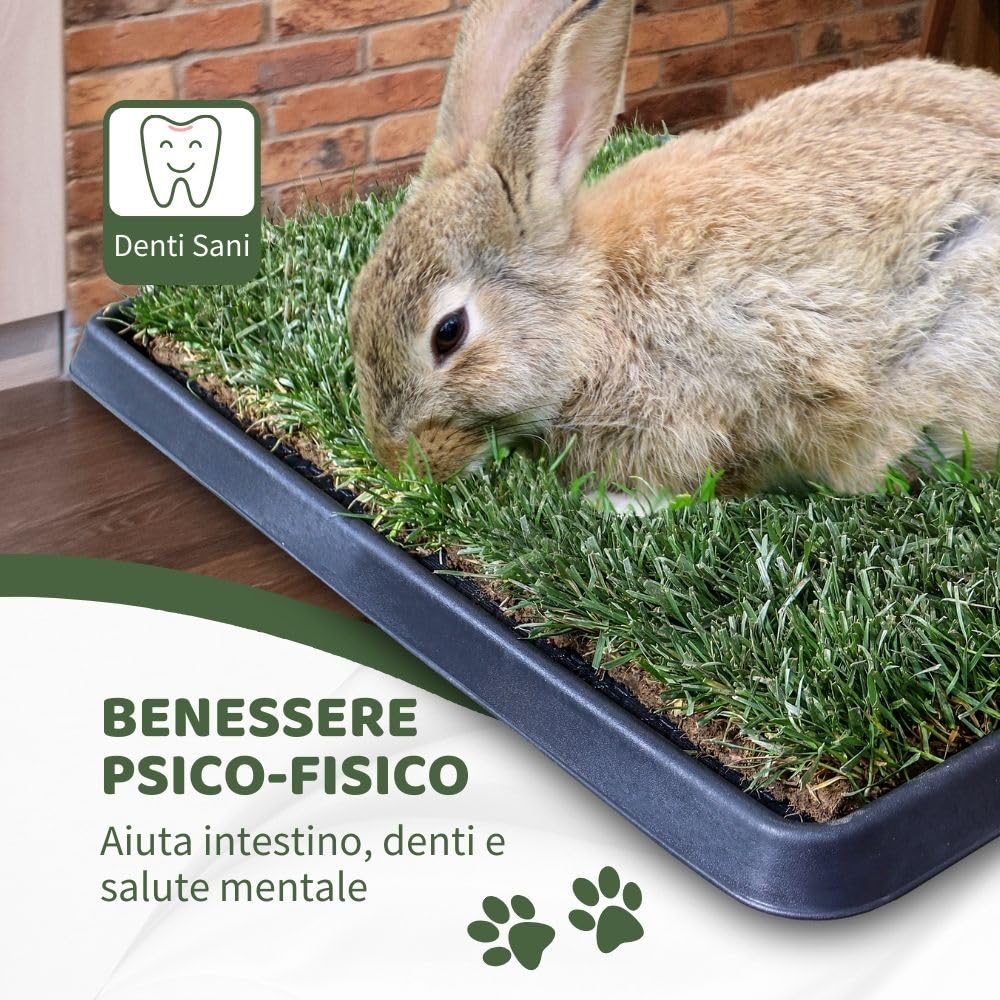 Kit M coniglio Petzolla - Cuccia per conigli estiva in Vera Erba con Vassoio Riutilizzabile 92x52 cm, Lettiera coniglio Naturale e Atossica, Tappeto per conigli da interno dura fino a 5 mesi