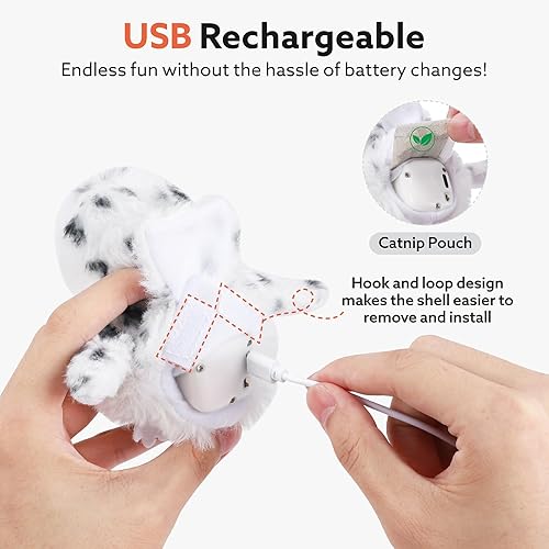 Miniatura 6 de Juguete interactivo para gatos con chirrido de pájaro realista, recargable por USB, juguetes de hierba gatera automática recargable por USB, para