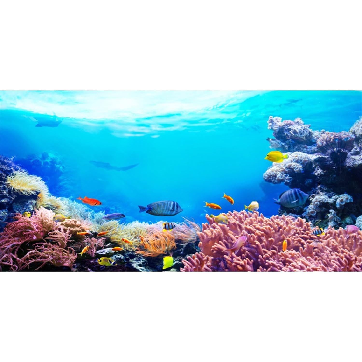 AWERT 48x18 inches Underwater Aquarium Background Colorful Coral Tropical Fish Undersea World Fish Tank Background Vinyl