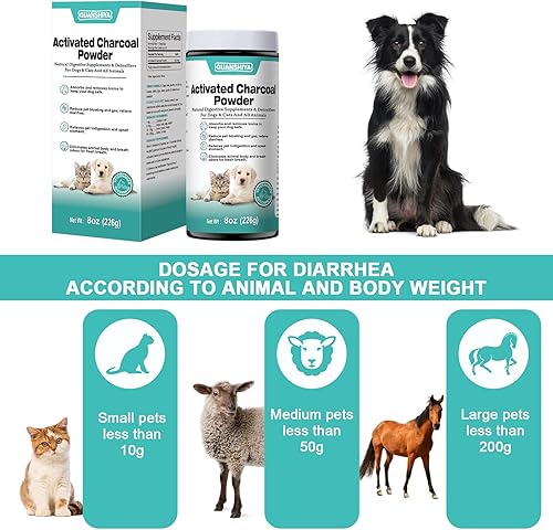 Miniatura 4 de Carbón activado para perros, gatos y todas las mascotas, 8 onzas (polvo), polvo de carbón activado para envenenamientos, trastornos digestivos y