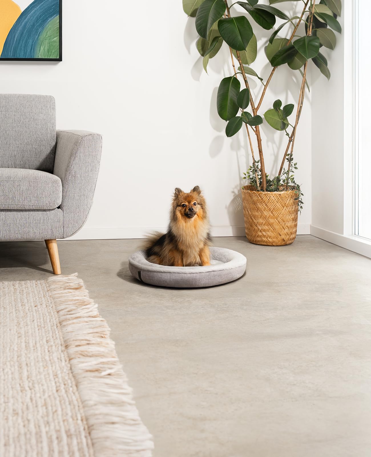Lionto Cama Redonda para Perros con Forma de Donut, Cojín Sofá, 55 cm Ø Gris