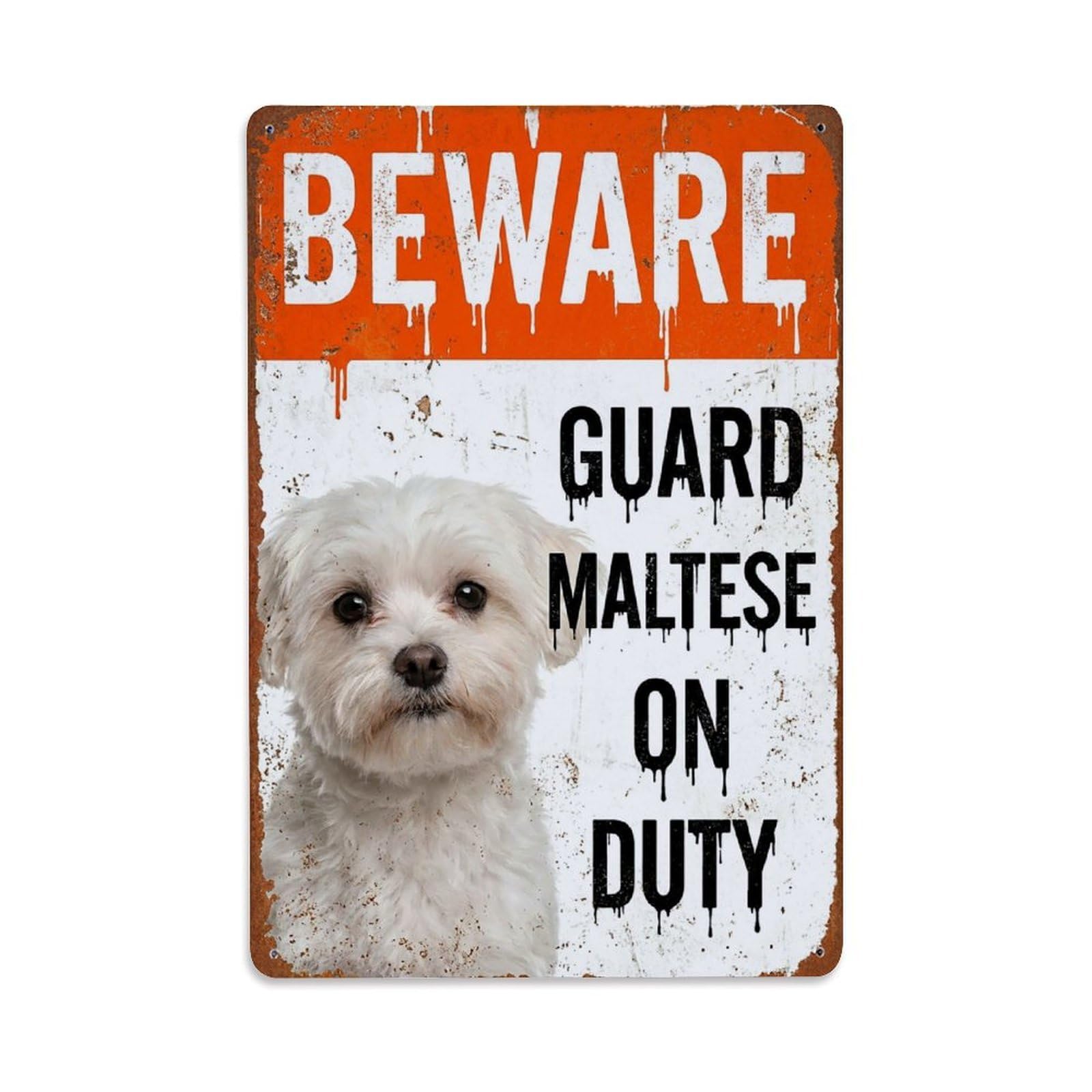 Vintage Funny Maltese Guard Beware of Dog Foyer Metal Tin Sign Plaque Wall Decor for Cafe, Club Bar, Office, Garden Metal Poster 8x12Inch