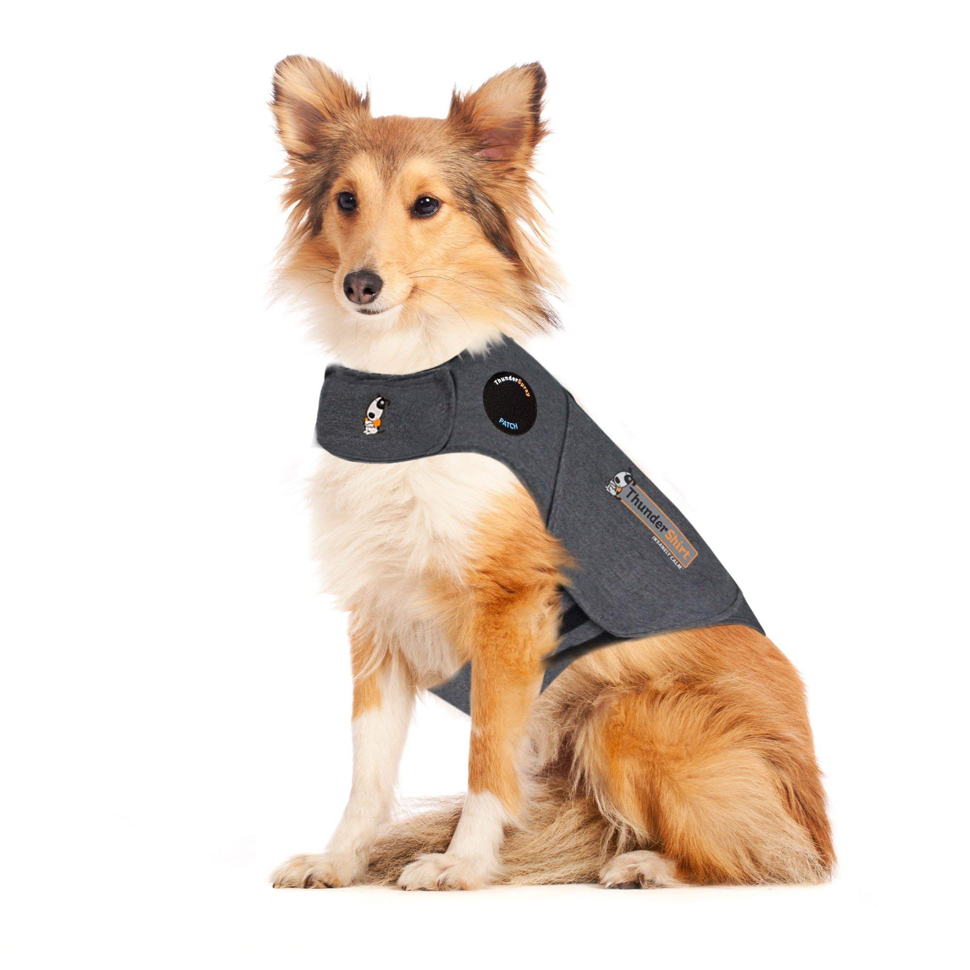 dog thunder jacket australia