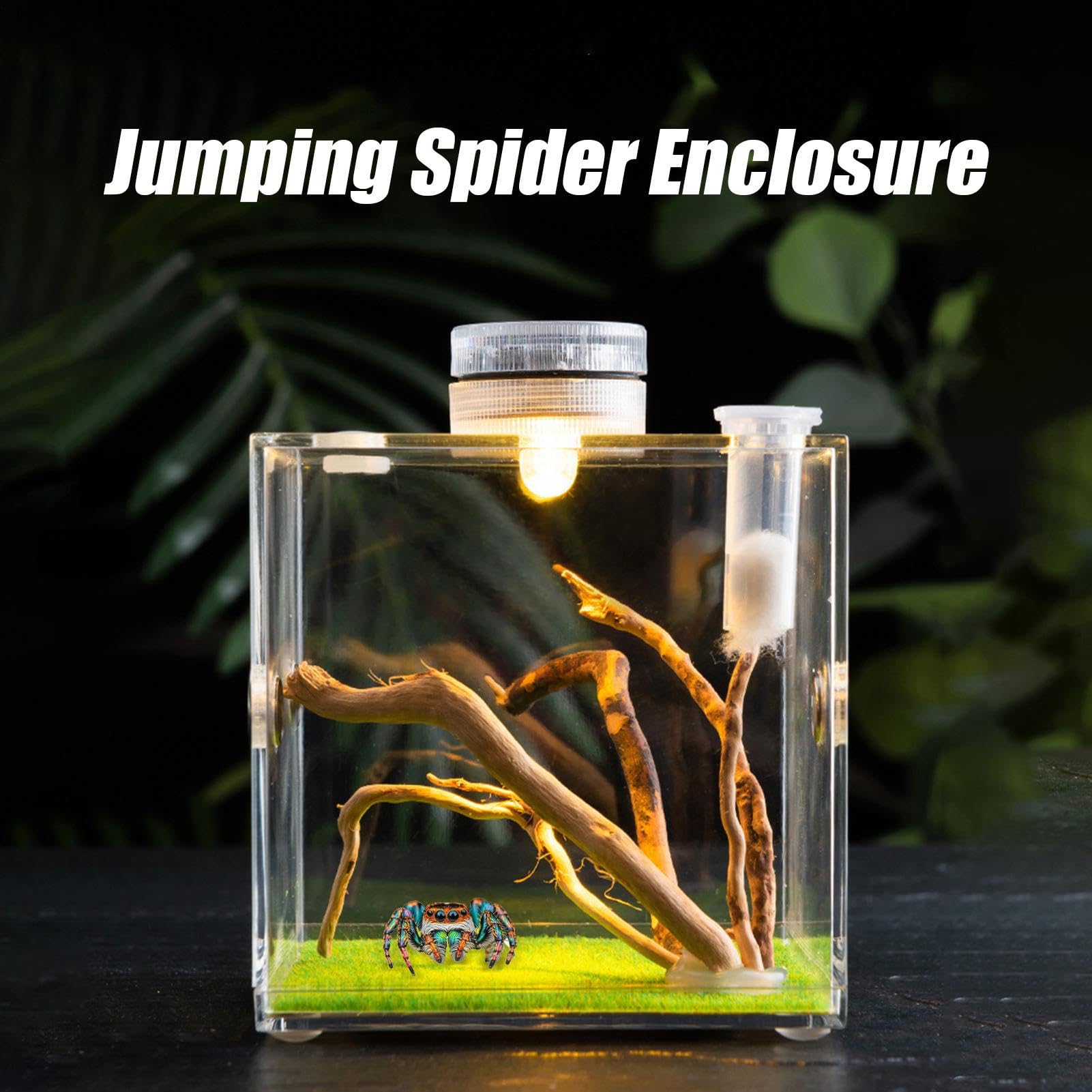Enclos pour araignées sauteuses, Habitat d'araignées, Terrarium d'araignées, Cage à araignées, Cage en Acrylique, Terrarium à Insectes