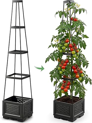 best raised garden bed for tomatoes in Spokane, WA