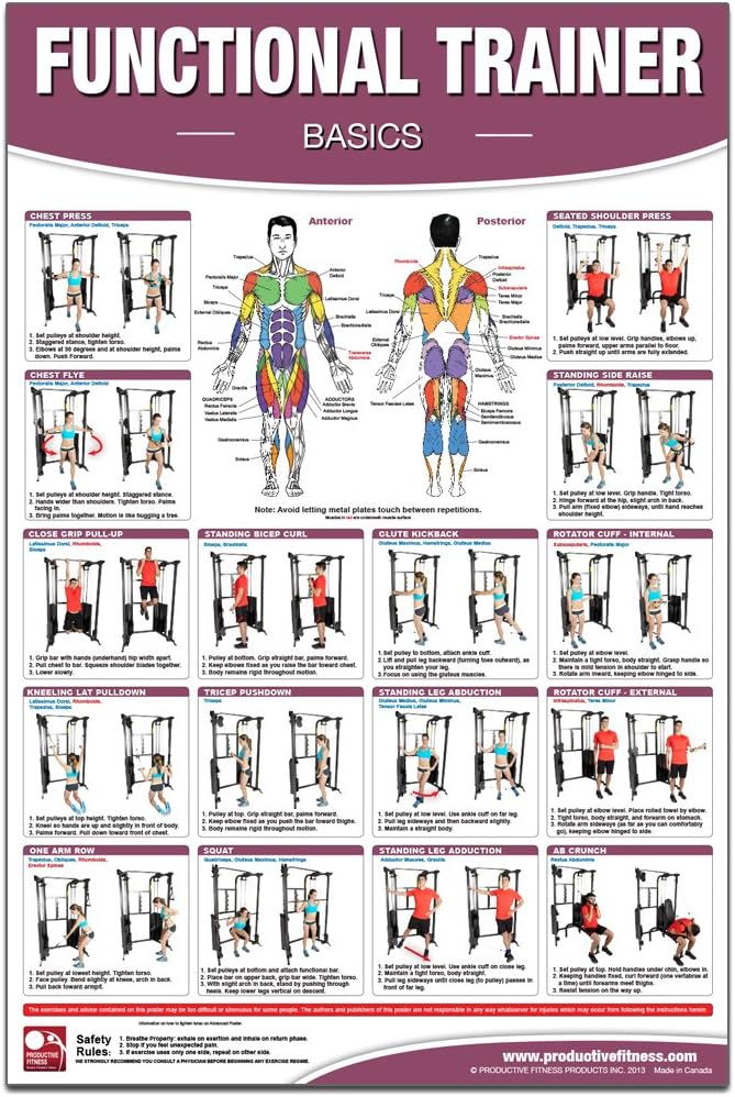 Functional Institutional/Home Gym Poster/Chart- Basics - Functional Trainer Posters, Functional Exercises, Adjustable Pulley Gym Posters, Workout ... Trainer Charts, Fitness Charts, Physio Gym Map – June 24, 2013