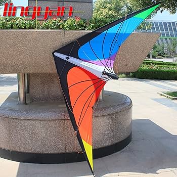 凧 Amazon.co.jp: カイト 鷹 凧揚げ 110cm カイト 鷹 イーグル