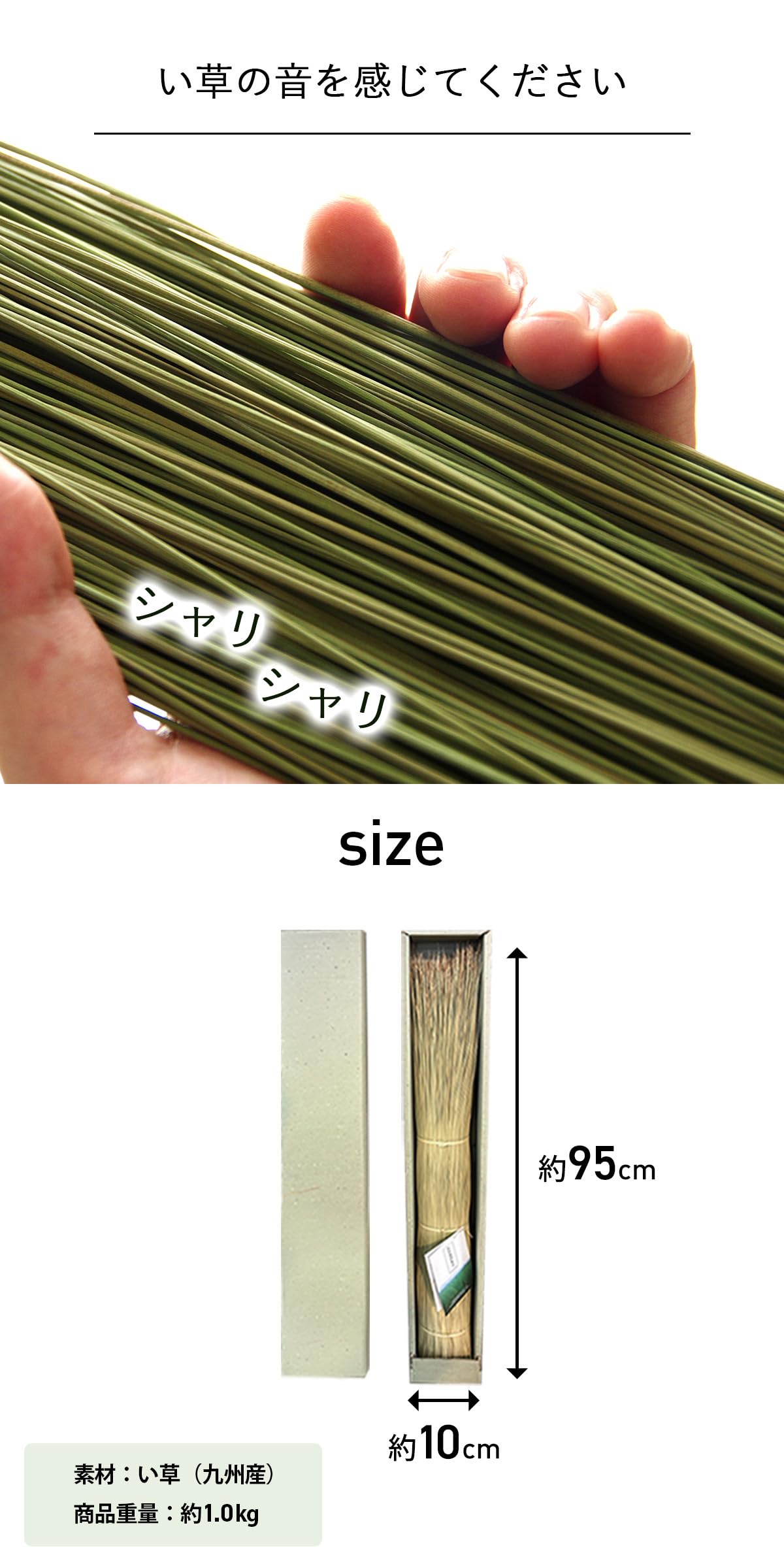 Amazon｜い草 日本製 畳のもと 約95×10cm インテリア オブジェ 雑貨