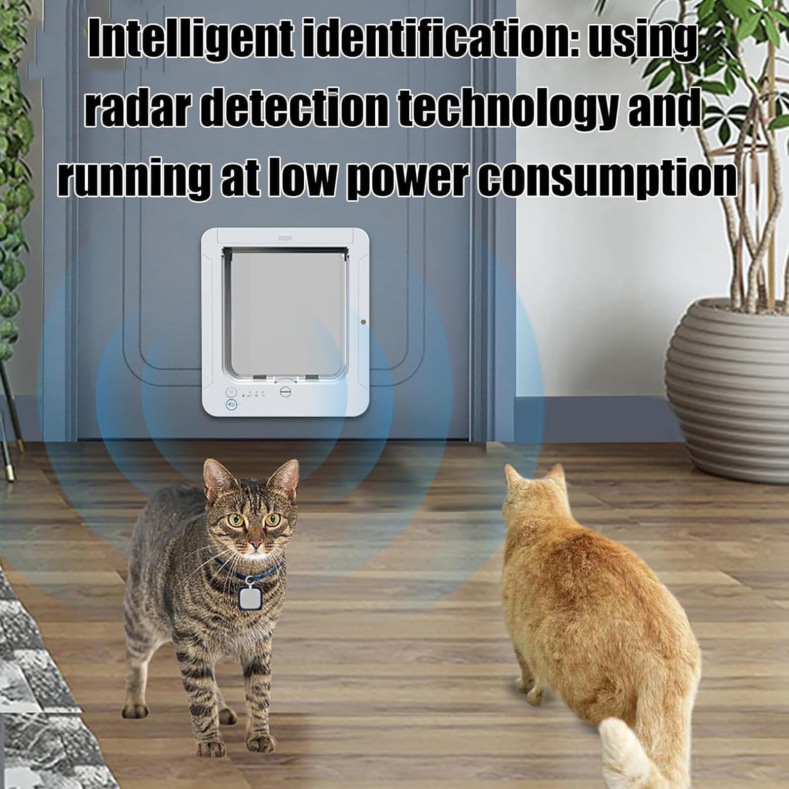Microchip - Puerta para gatos con 2 collares de sensor y control remoto, bloqueo de 4 vías, solapa automática resistente a la intemperie para gatos y perros pequeños, tamaño de apertura 7.7 x 8.3