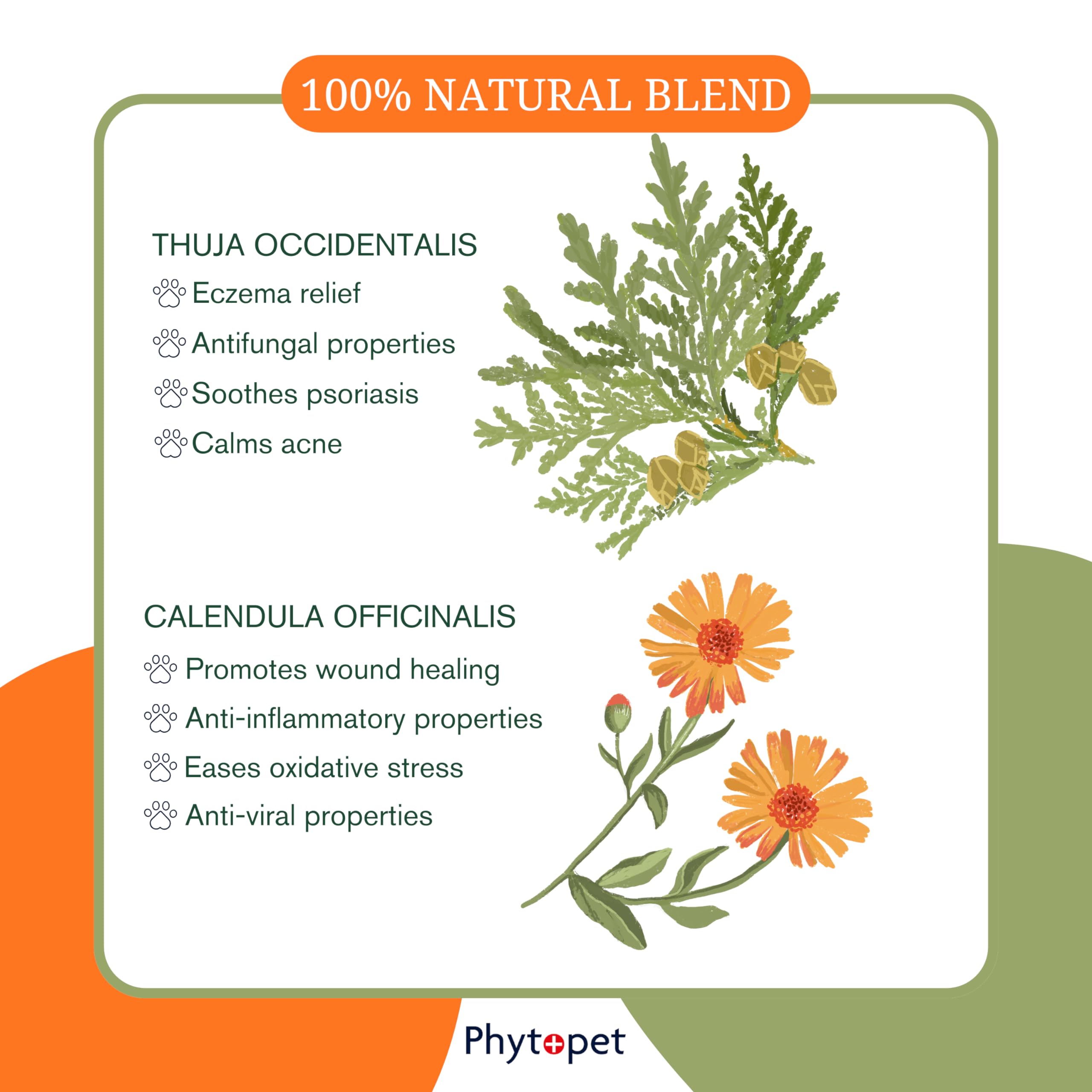 Farm and Yard Remedies Phytopet Thuja-Creme | Abnormales Hautwachstum,  Warzen, Sarkoide und Warzen | Hunde, Katzen, Vgel, Pferde, Nutztiere und  kleine Sugetiere | 150g : Amazon.de: Haustier