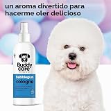 Ver la foto 3