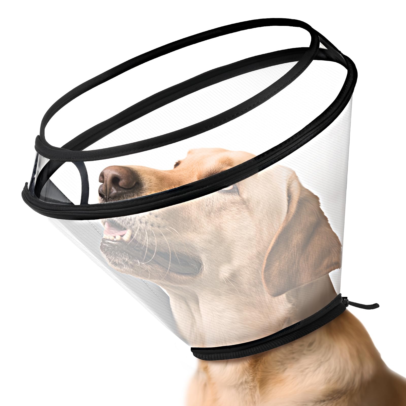 Dog Cone Collar for After Surgery – Upgraded Durable PP Material, Transparent Pet Recovery Collar Adjustable for Small Medium Large Dogs, Elizabethan Collar to Stop Licking Wounds-M