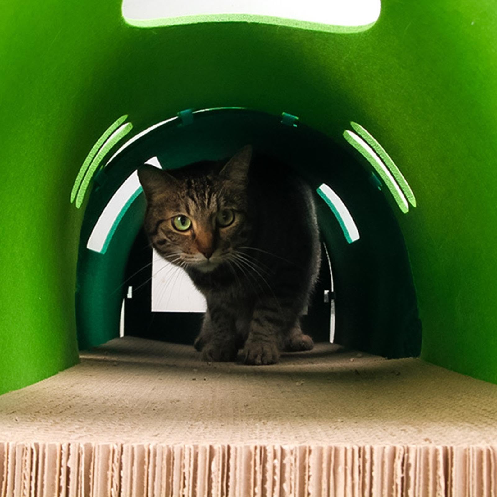 Cat Tunnel Tubo Juguete Interactivo Cama Tablero de Rascar Cueva para Esconderse Material Fácil de Limpiar Adecuado para Gatos Perros Hurones en