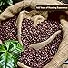 Lion Coffee 24K Gold Roast 100% Kona Ground Coffee, Medium-Light Roast, A Taste of Aloha - 7 Ounce Bag