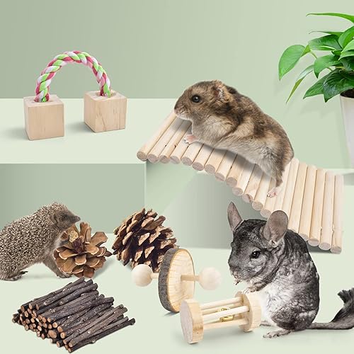 ERKOON New 12 Pack Hamster Chew Toys Gerbil Rat Guinea Pig Chinchilla Chew Toys Accessories, Natural Wooden Dumbbells Exercise Bell Roller Teeth Care Molar Toy for Rabbits Bird Rabbits Hamster Gerbil