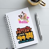 Vista 4 de 3 calcomanías de vinilo impermeables con texto en inglés «Please Be Patient with Me Im from the 1900s», vintage, retro, millennial Gen X