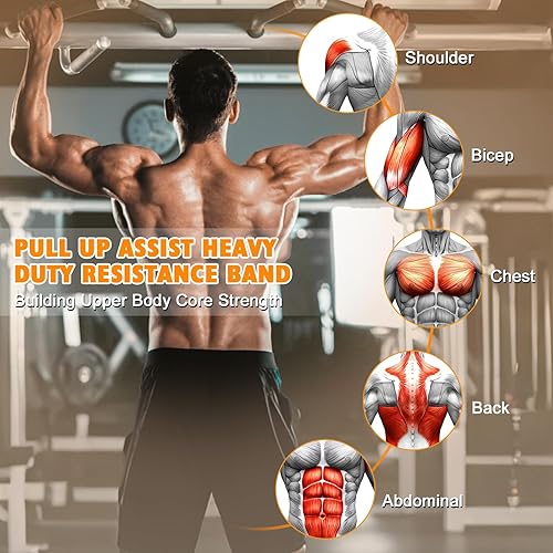 Miniatura 2 de Juego de bandas de asistencia para dominadas, 3 bandas de resistencia de barra de dominadas, peso y altura ajustable, equipo de entrenamiento con