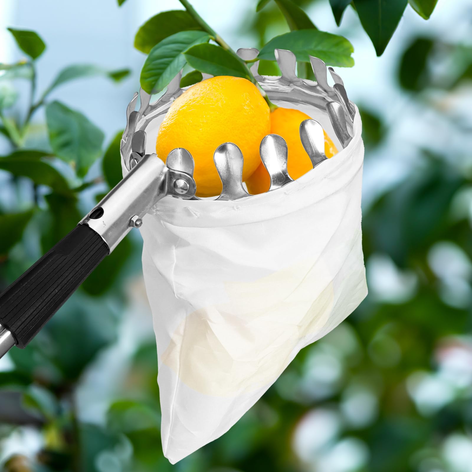 Draupnir 3,5m Cueille Fruit Telescopique, Cueille Pommes, Ramasse Fruits, Cueille Poires Cerise, Acier Inoxydable, Outil Cueilleur de Fruits avec Sac Coton Ø 16 cm