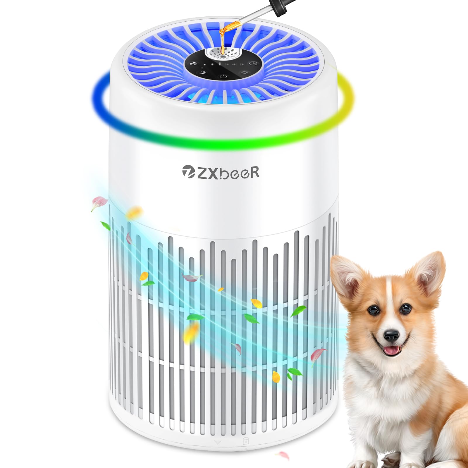 Amazon.com: ZXBEER H13 True HEPA Air Purifier with Remote Control