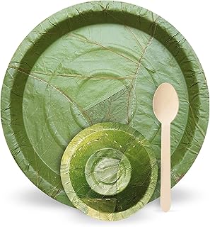 Palash - Sal Leaf Dinnerware Set Eco-friendly Biodegradable |Theme Party, Wedding, Dinner 9" Dinner Plates(25ea)+ 4” Soup Bowl (4oz/120 ml)(25ea) + Spoon(25ea) | Combo set 75 pcs