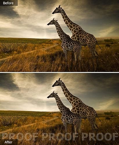 Miniatura 8 de Corel AfterShot Pro 3  Software de edición de fotos RAW Mac Download