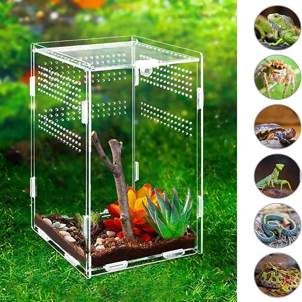 Zusammengebaute Acryl -Reptilien -Zuchtbox, Transparenter Reptilienpanzer, Amphibien -Fütterungsbox Mit Visuell Ansprechender Reptilienlebensraum Mit HD -Betrachtung,C