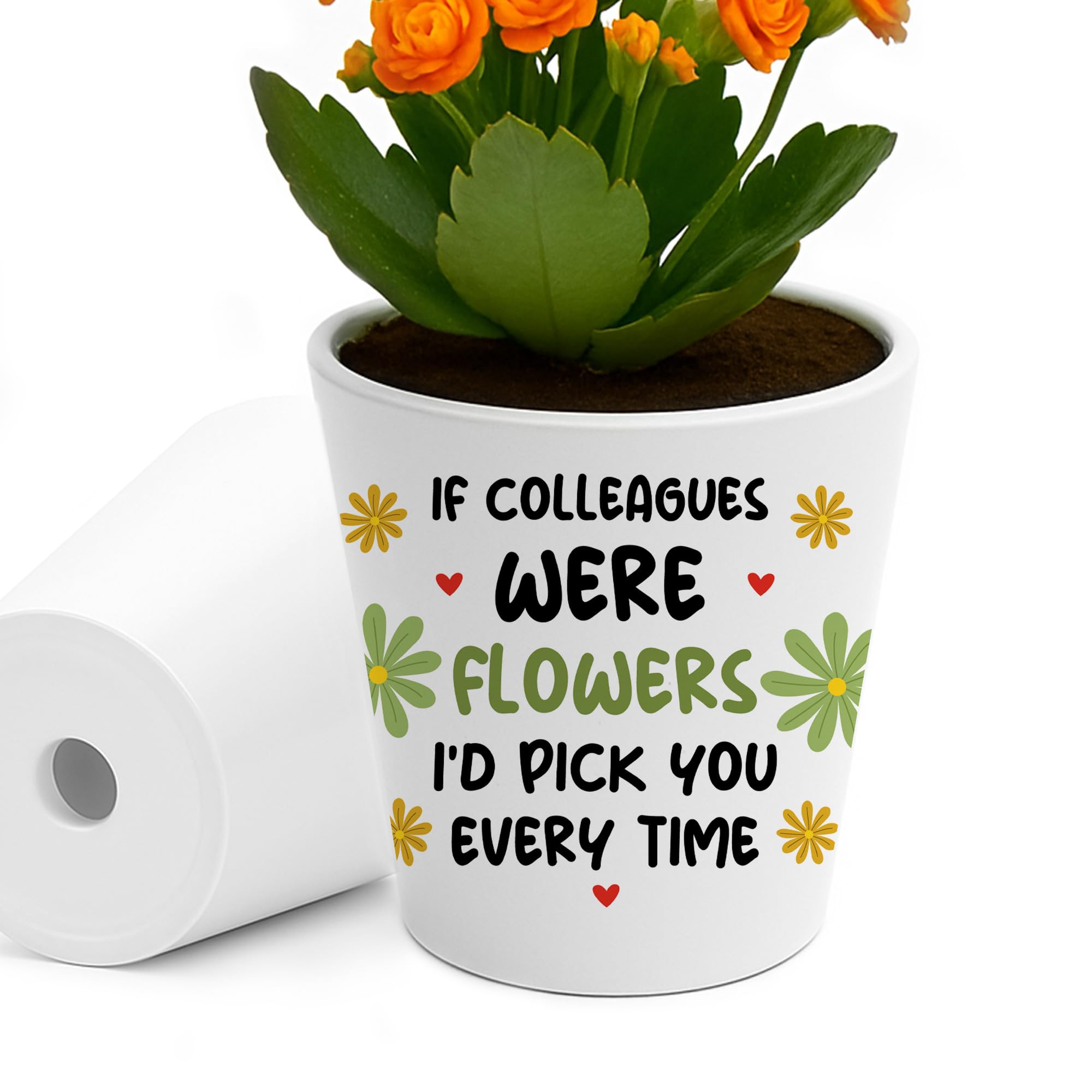 Red Ocean Cute for Colleague Birthday Christmas Flower Pot Id Pick You Thank You for Colleague Friendship Him Her Keepsake