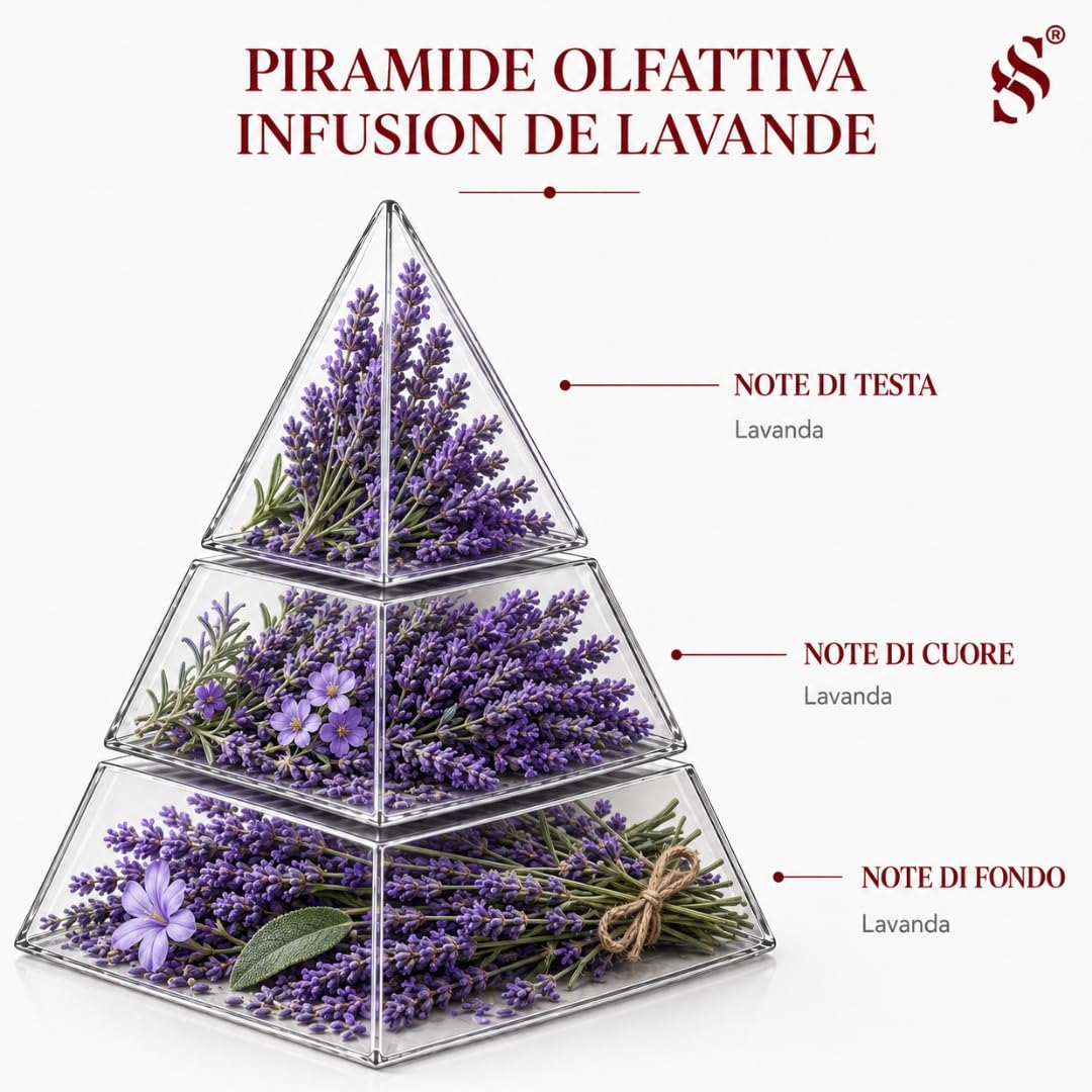 Ricarica per diffusori a freddo fragranza essenza aromatica Infusion De Lavande, profumo ambiente con oli essenziali naturali di Lavanda, 500 ml