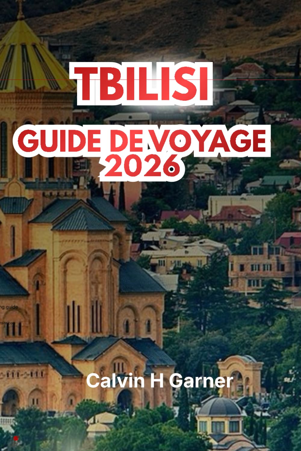 TBILISI GUIDE DE VOYAGE 2026: Explorez la cuisine géorgienne, les régions viticoles, les sites historiques, la forteresse de Narikala, les marchés ... pour une expérience authentique du Caucase