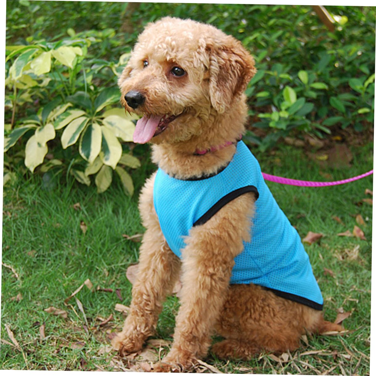 Angoily Gilet Refroidissant Respirant pour Chien Et Chat Vêtement Été Confortable Et Élégant pour Animaux De Compagnie pour Fêtes Et Photos