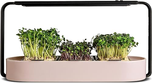 ingarden Superfood Microgreens - Kit de cultivo para interiores con 3 bandejas de semillas de iniciación y luz de cultivo, jardín interior