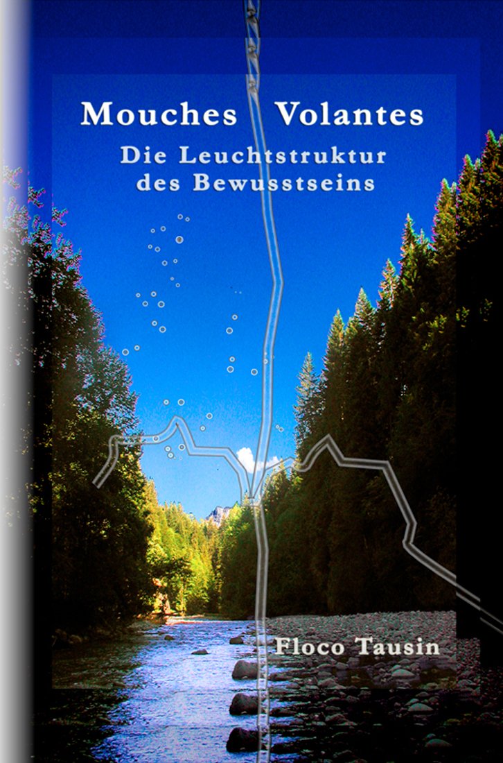 Mouches Volantes: Die Leuchtstruktur des Bewusstseins (German Edition)
