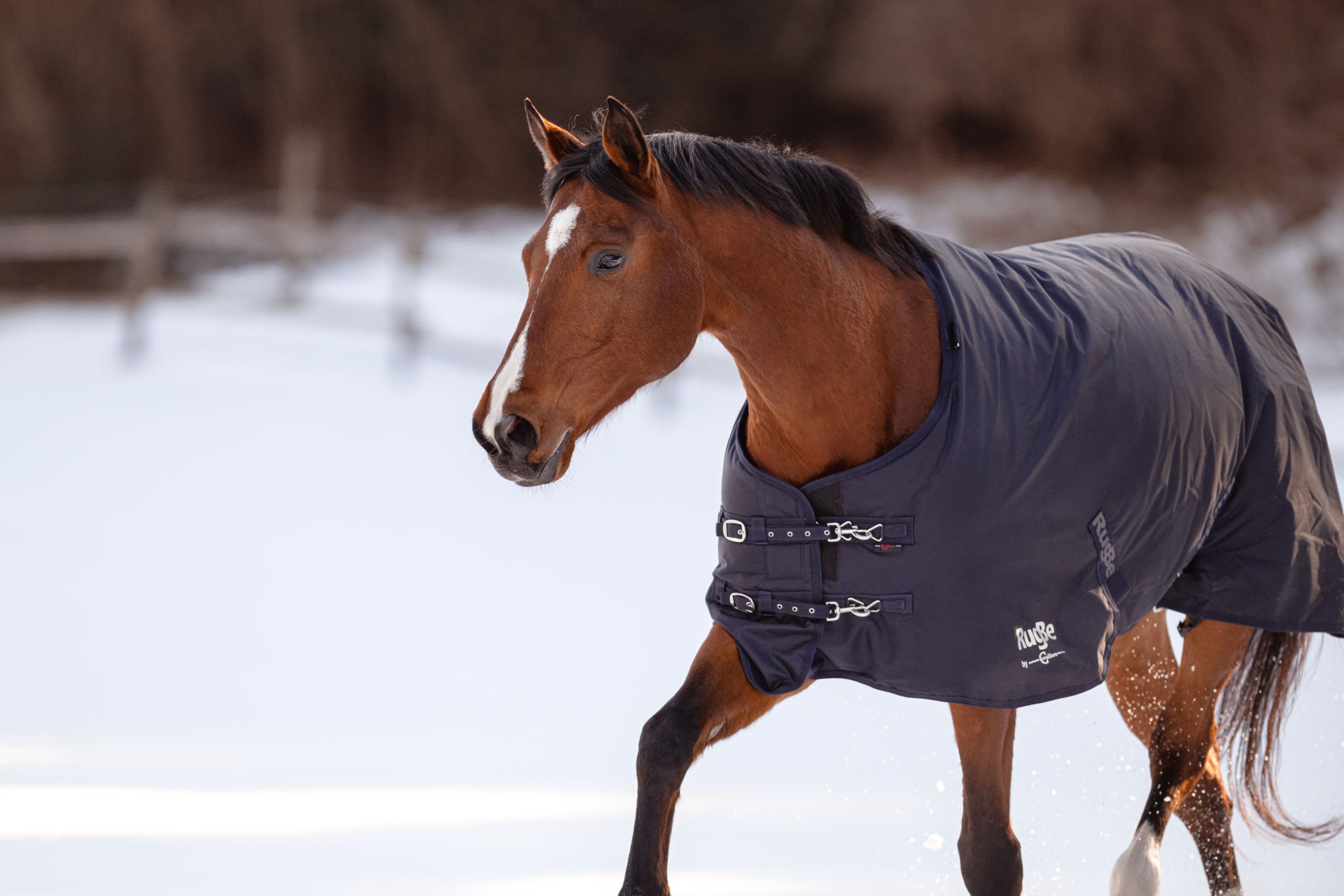 Covalliero Mantainvierno RugBe IceProtect 300 g, Dark Navy, 145 cm