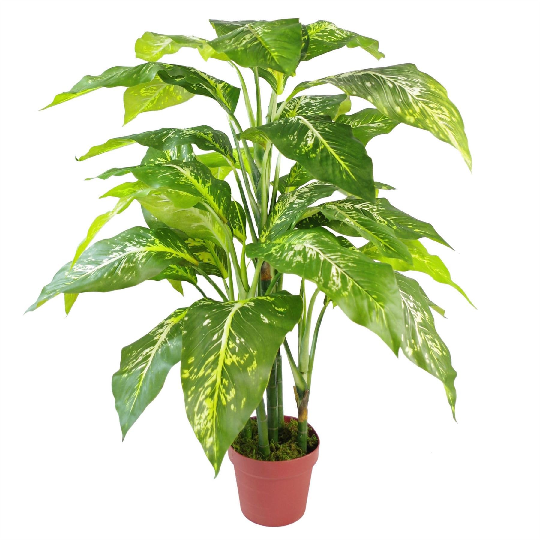 Leaf Artificial Tree Plant - Fox Aglaonema Evergreen - 100cm Green