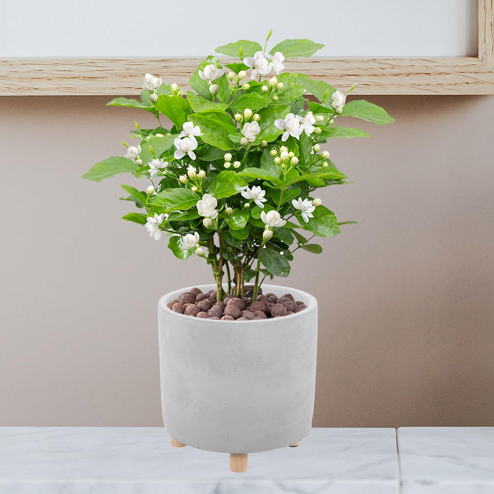 Yardenfun Pot de Fleur Simple Ciment avec Bois Jardinière Créative et Aérée pour Plantes Intérieur et Décoration de Jardin Pot Rond