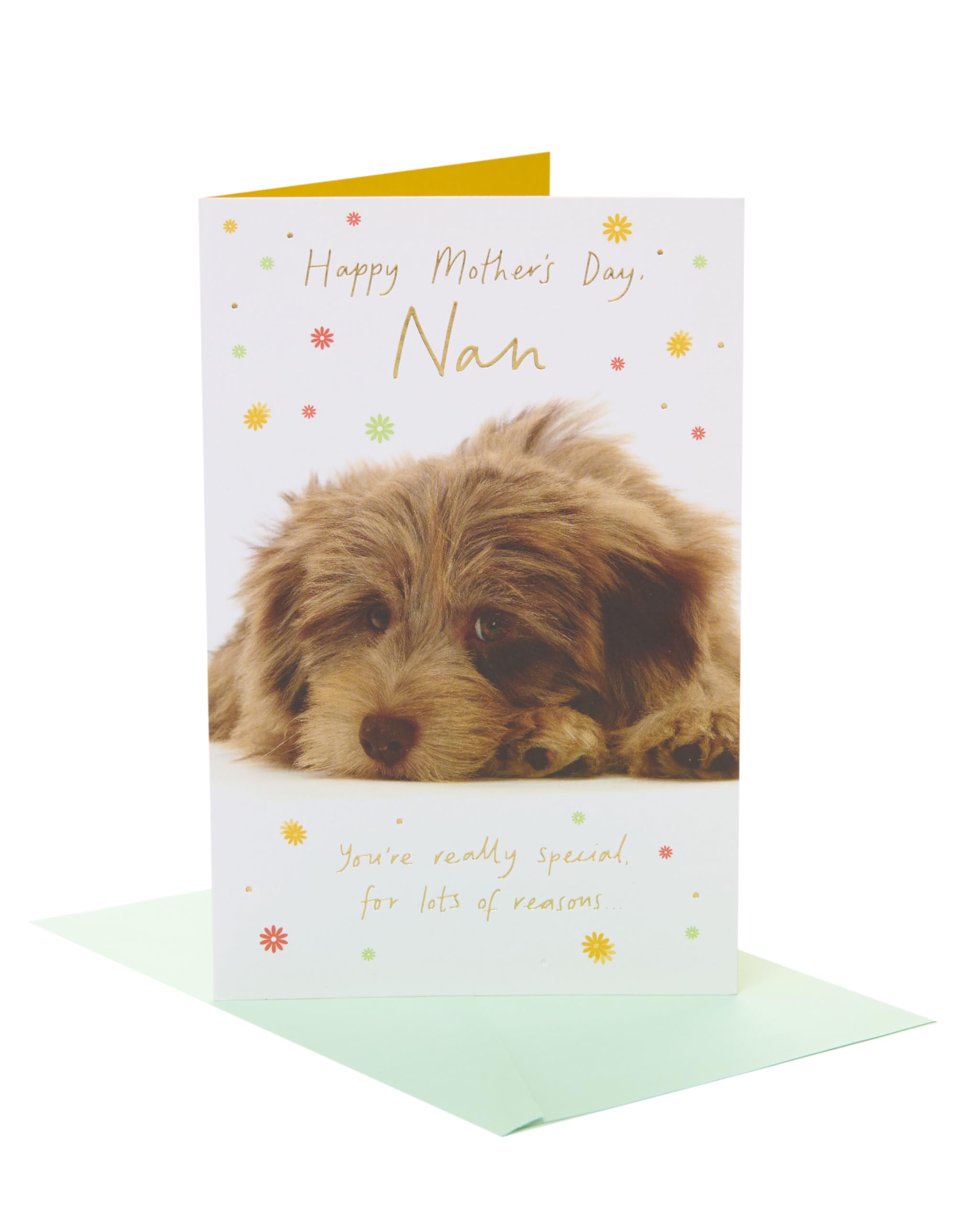 UK Greetings | Mother's Day Card for Nan | Card for Mum, Grandma, Wife | Her, Girls, Women | Cockapoo Design | With Envelope | 14.9 x 22.9 cm