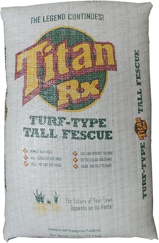 SeedRanch Titan Rx (Ultra) Semillas altas de hierba de festuca - 50 libras