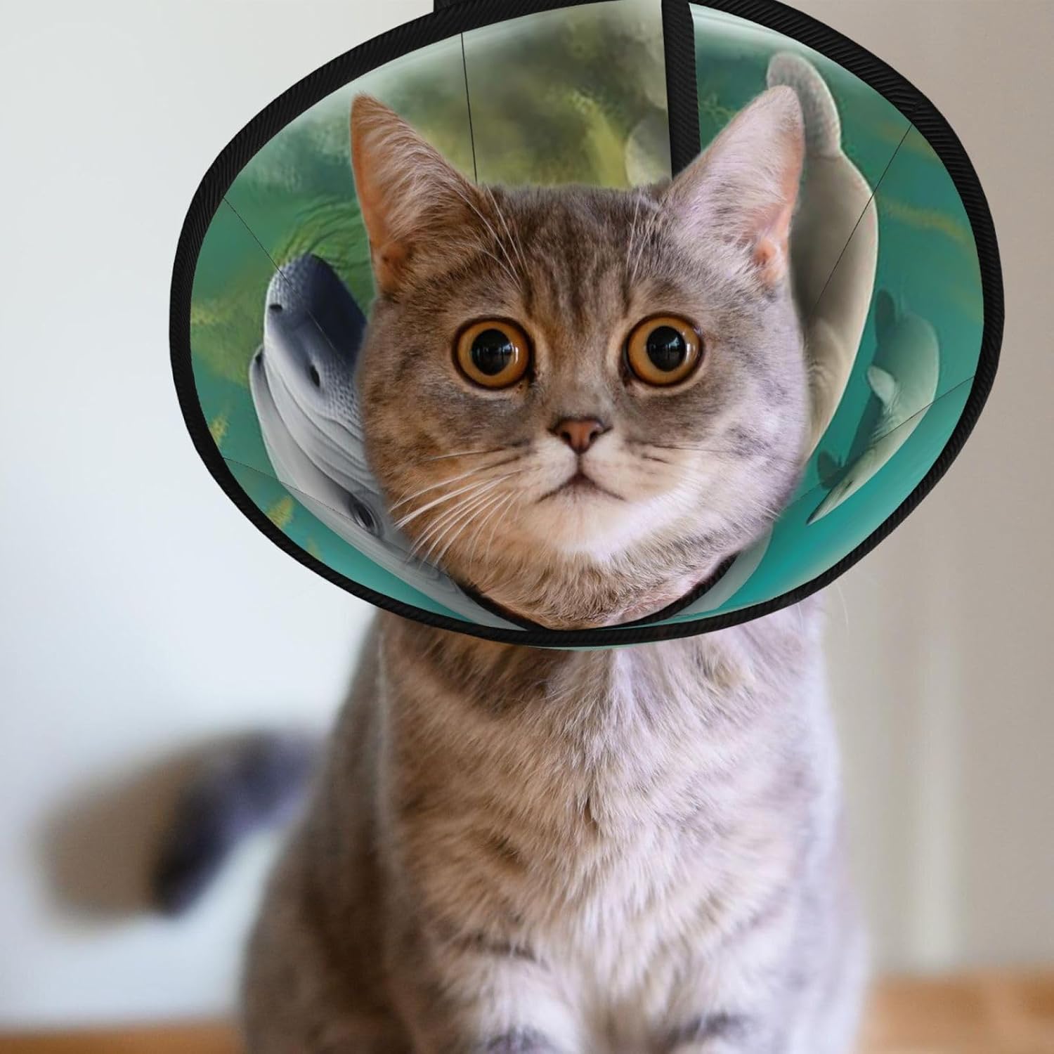 Custom Pet Cones - Unique Design Cat & Dog Cone, Collar for Post-Surgery Recovery, Adjustable Neck Manatee Family Swim​ Medium