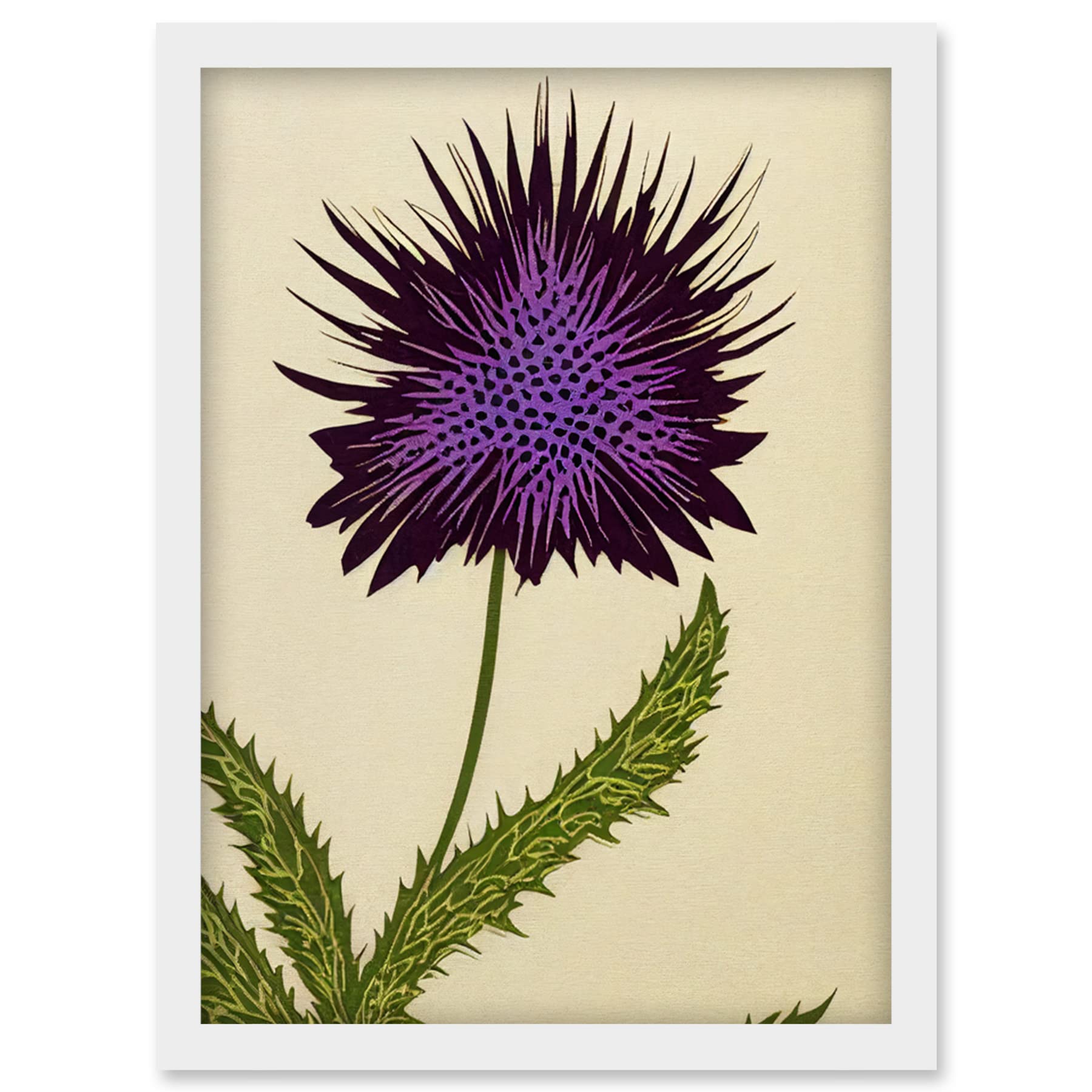 Wee Blue Coo Stylized Modern Purple Scottish Thistle Flower Illustration Artwork Framed Wall Art Print A4