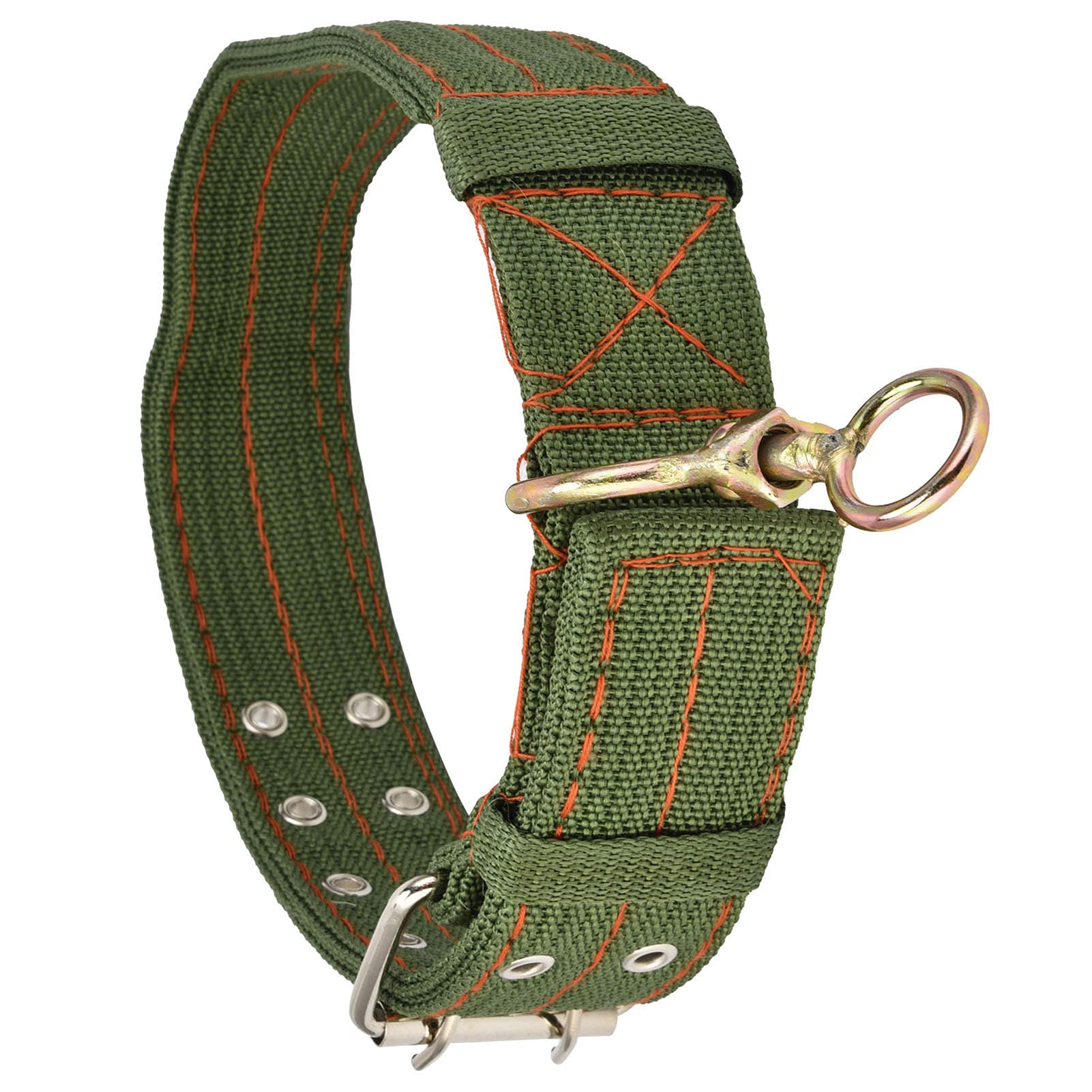 Guide d'achat et recommandations de sangle pour cheval