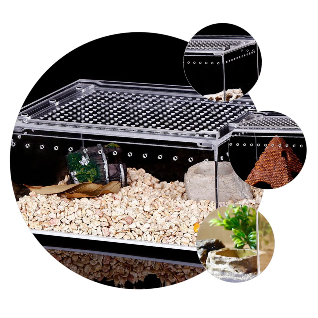 Caja de Reptiles Transparente de Acrílico, Diseño Antifugas | Hábitat de Cría, Alimentación de Agua y Comida, Uso para Serpientes y Otros Reptiles