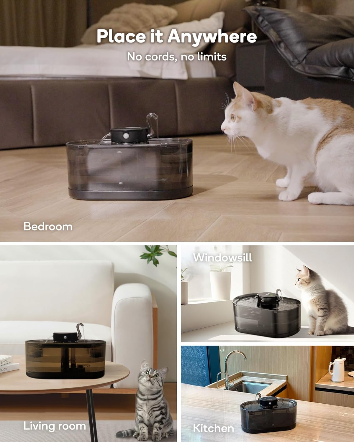 Jinsiy aloqa Kiev Liza 0962055582 Porno irene