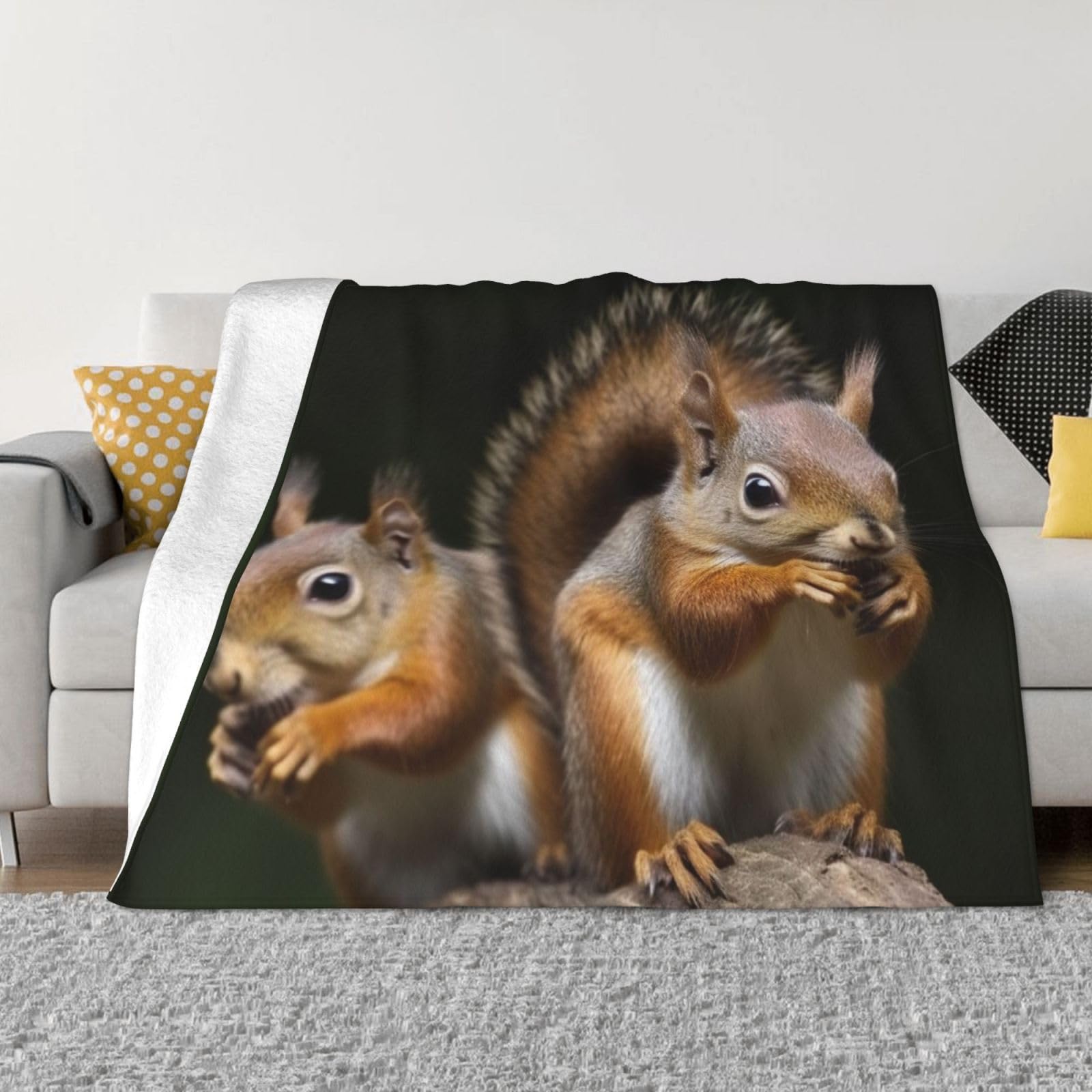 Fodpand Black Squirrel Animal Flannel Blanket 80"X60" - Ultra-Soft Lightweight Throw Blanket For Bed, Sofa, And Couch - Luxury Air Conditioning Blankets - Cozy Warm Blankets For All Seasons