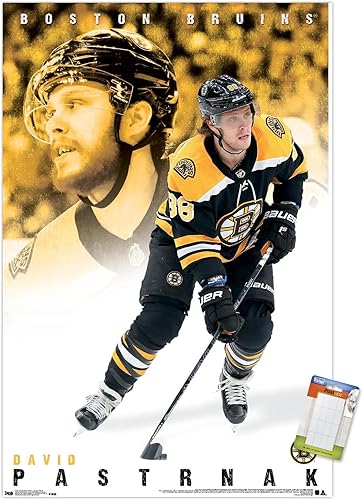 Miniatura 12 de Trends International NHL Boston Bruins - Póster de pared de David Pastrnák 19, 14.725 x 22.375 pulgadas, versión enmarcada en negro